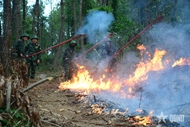 Troops actively fight forest fire